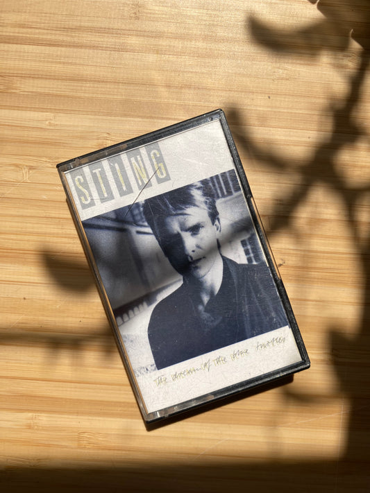 STING - THE DREAM OF THE BLUE TURTLES